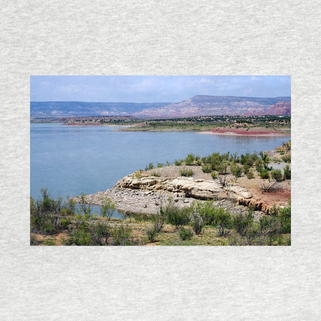 Abiquiu Lake, New Mexico by VKPelham